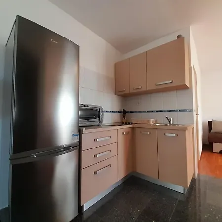 Apartment Sreca Near With Bbq *